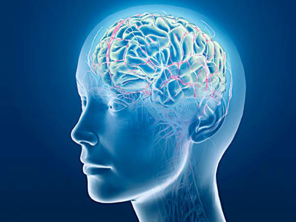 திராட்சை சாப்பிடுவதால் ஏற்படும் நன்மைகள்!!! 09-1365488250-healthybrain