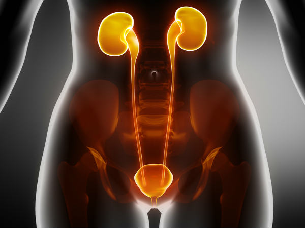 வாழைப்பழம் சாப்பிடுவதால் கிடைக்கும் நன்மைகள்!!! 22-1369207537-11-kidneyproblems