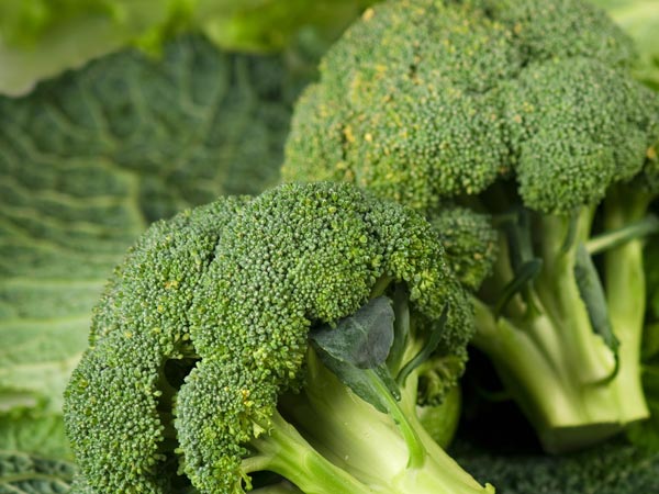 ஞாபக மறதியைத் தடுக்கும் சிறந்த உணவுகள்!!! 05-1373001542-8-broccoli