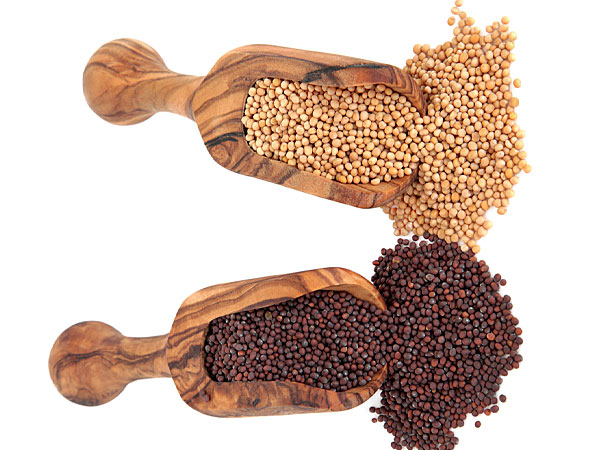 உடல் எடையைக் குறைக்கும் மூலிகைகள்!!! 20-1377006456-16-mustard-seeds