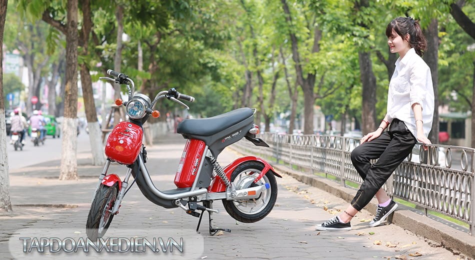 Xe máy, mô tô: Xe đạp điện đã và đang trở thành sự lựa chọn của nhiều người Xe-dap-dien-nijia-s_(2)