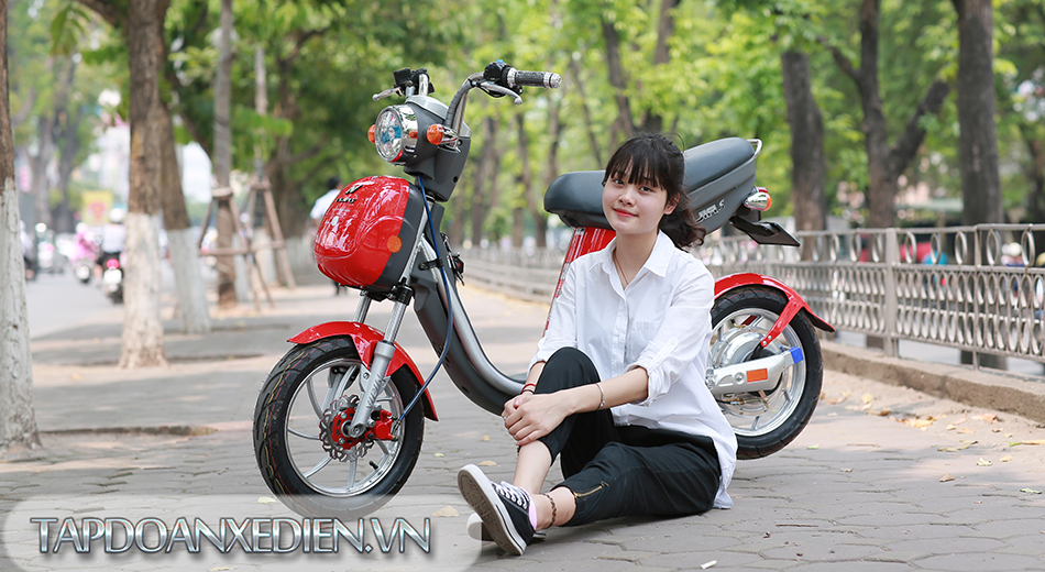 Xe đạp, xe máy, ô tô: Ắc quy tốt nhất hiện nay Xe-dap-dien-nijia-s%20(3)