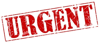 Urgent - JERRY - x berger 11 ans - Refuge de l'Espérance à Appeville Annebault (27) Urgent-1