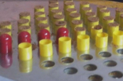 China: pastillas energéticas hechas con bebés muertos Pildoras