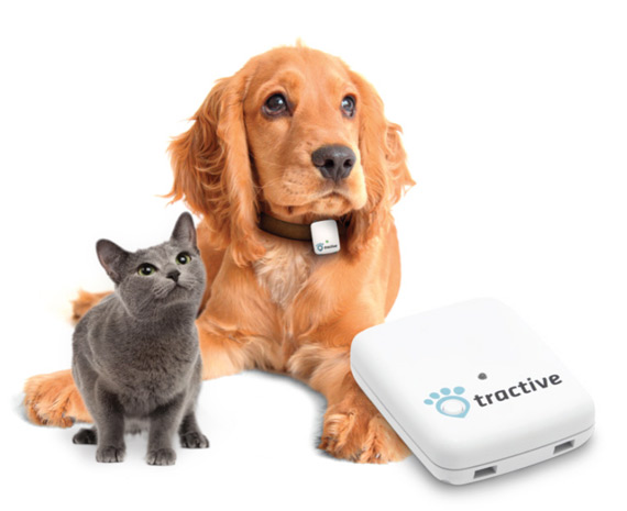 Tractive: Κολάρο εντοπισμού κατοικίδιων με GPS και application Tractive-pet