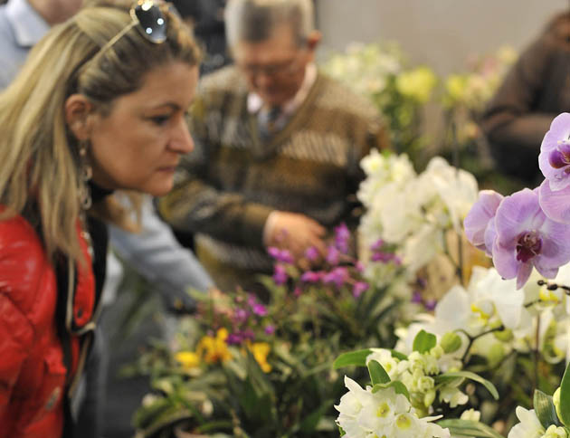 Sabato 28 Aprile 630verdecasa