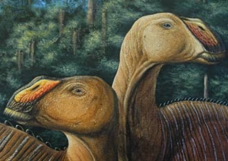 Un nouveau dinosaure "broyeur’’ à bec de canard 372226