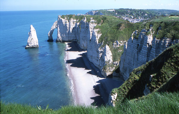 où suis je -ajonc - 24 août 2016 trouvé par Renélelillois Etretat-4-ter