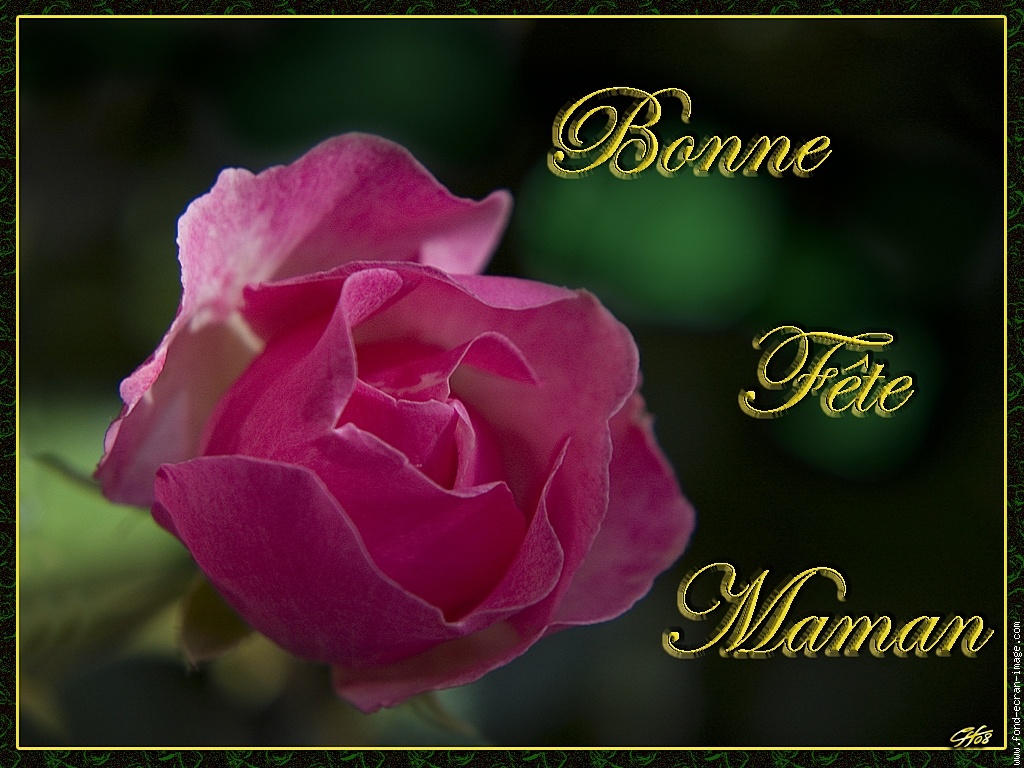 Bonne fête aux mamans du forum ! 9b64f044