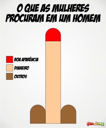 Topico para imagens Engraçadas =[ - Página 25 Grafico-o-que-as-mulheres-procuram-em-um-homem