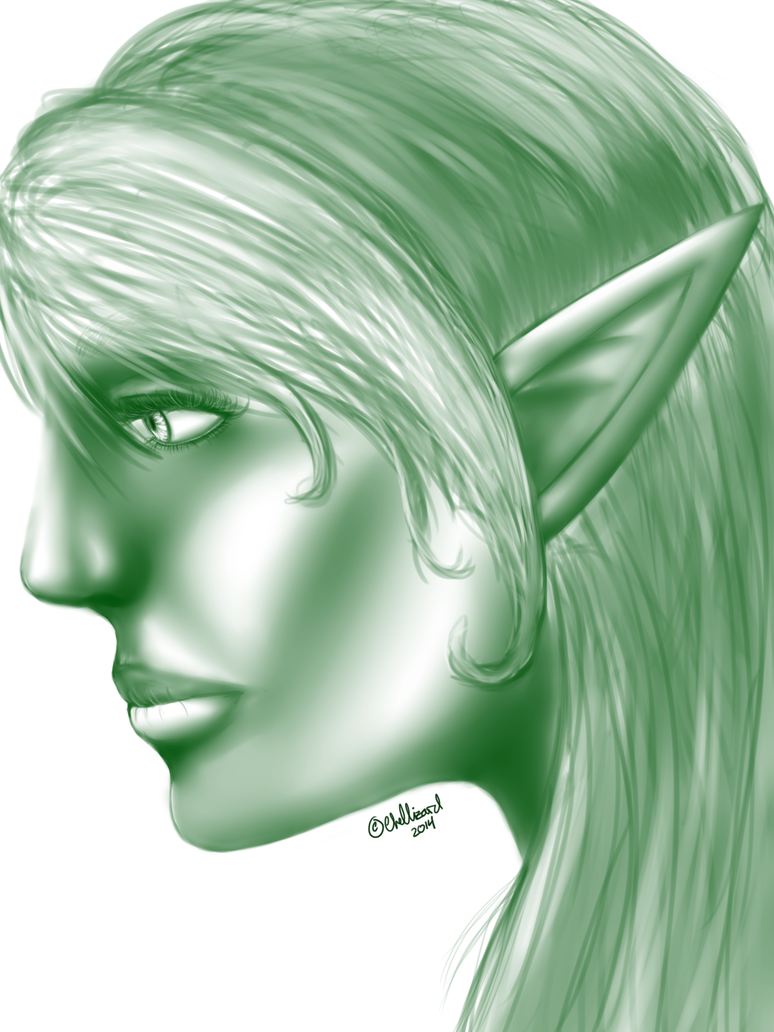 Princess Miri; The Elvish Archer Miri_portrait_by_loserfacerochelle-d80mot7