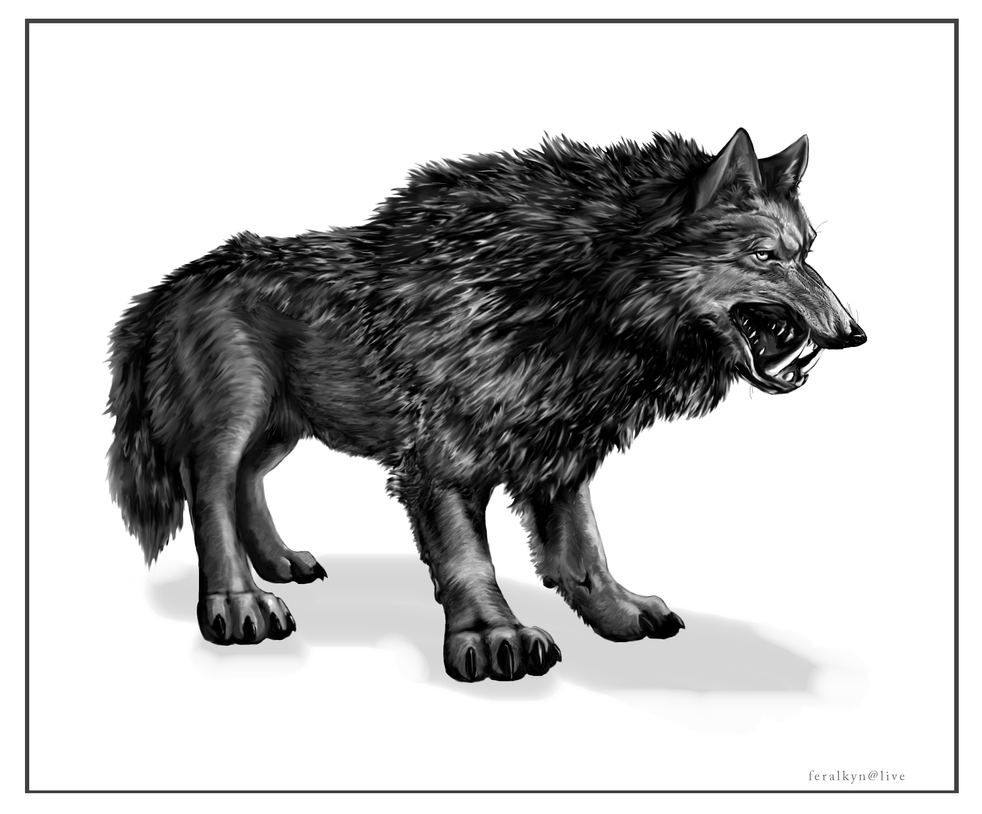 #018 - Night Stalker Dire_wolf_by_feralkyn-d3cqc09