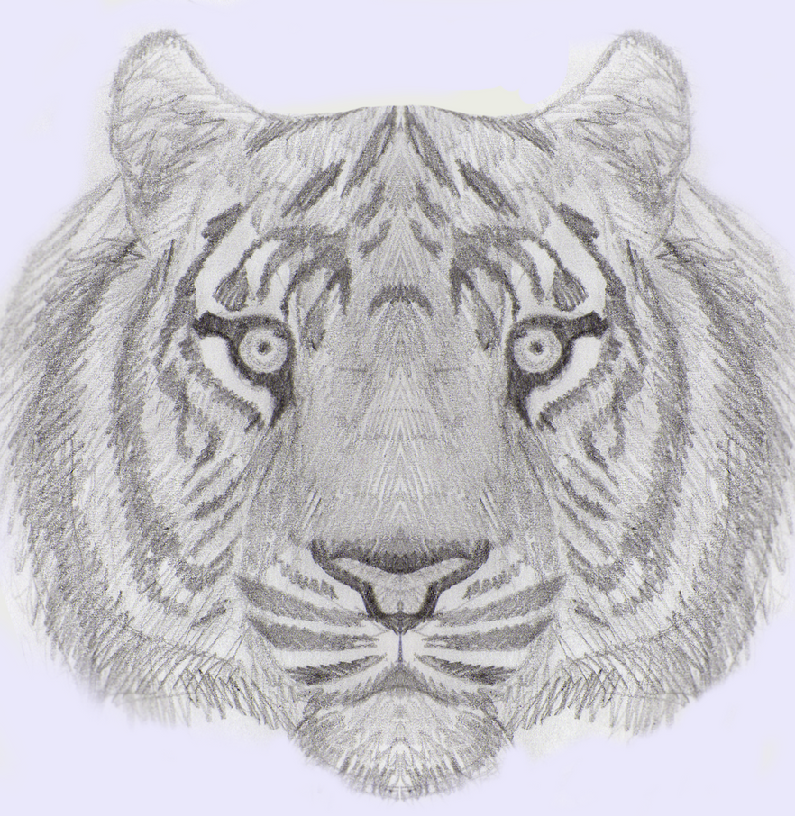 mi arte (si es que a esto se le puede llamar arte) Tiger_by_xtremejoe-d6lmd79