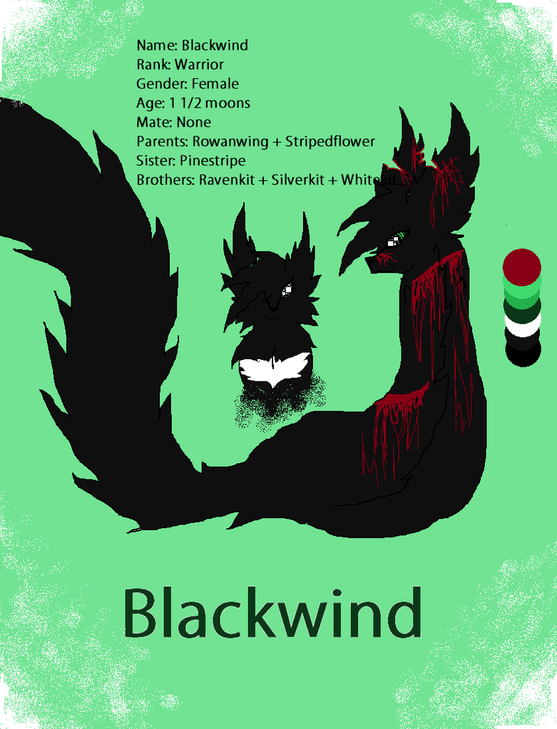 Blackwind Character_sheet___blackwind_by_fenway231-d5yi8sa