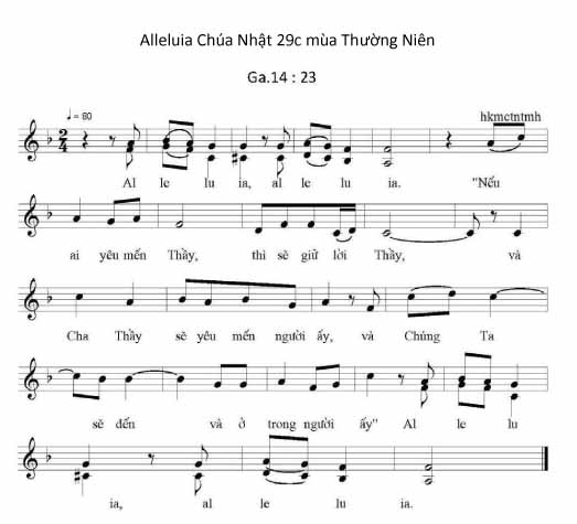  Bài hát THÁNH VỊNH - ĐÁP CA Chúa Nhật 29C Mùa Thường Niên Qn29c_alleluia