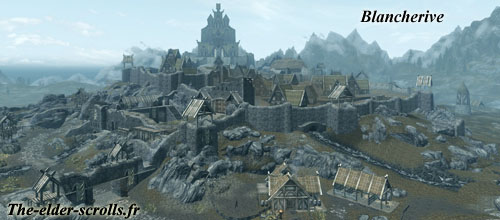 Boutique En Ligne du Serveur: Donnez votre Avis pour les Grades! Ville-de-blancherive-dans-skyrim