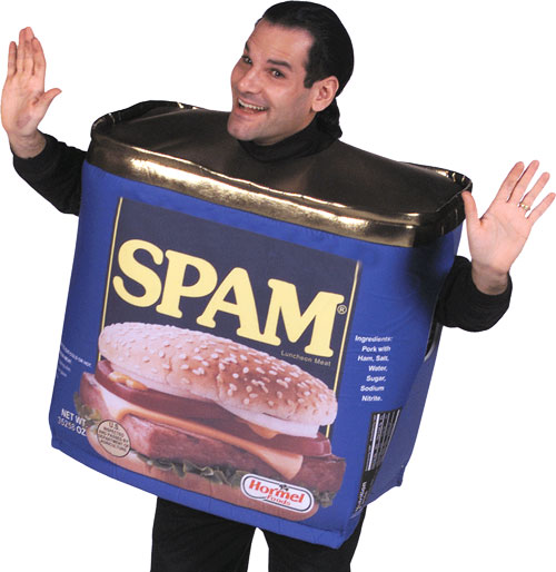 Rien ne change... Spam-costume