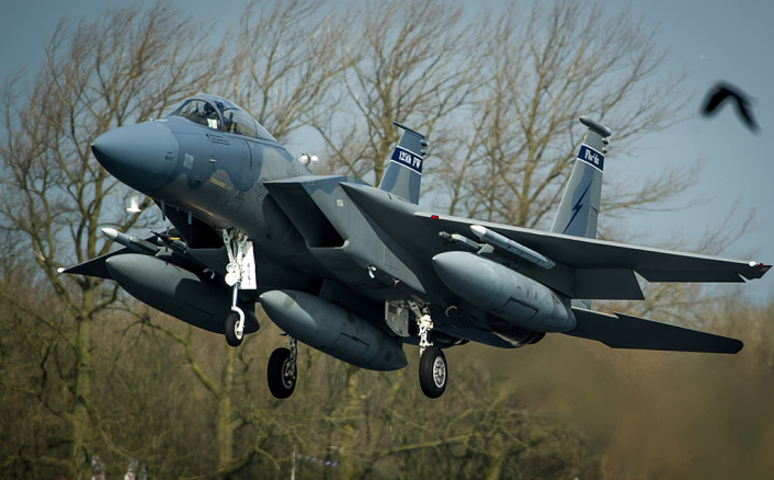 Fuerza Aérea de EEUU.(USAF) - Página 9 F-15C-landing-at-Leeuwarden-706x438