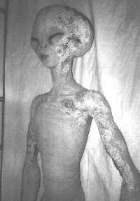 صحن طائر وخلوقات فضائية 2011 Fake_alien4