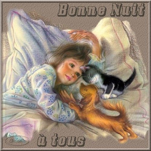 bonne nuit !!! - Page 11 C18f48b3