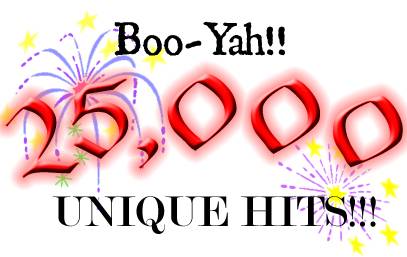 En plein dans le 1000 ! - Page 8 25000hits