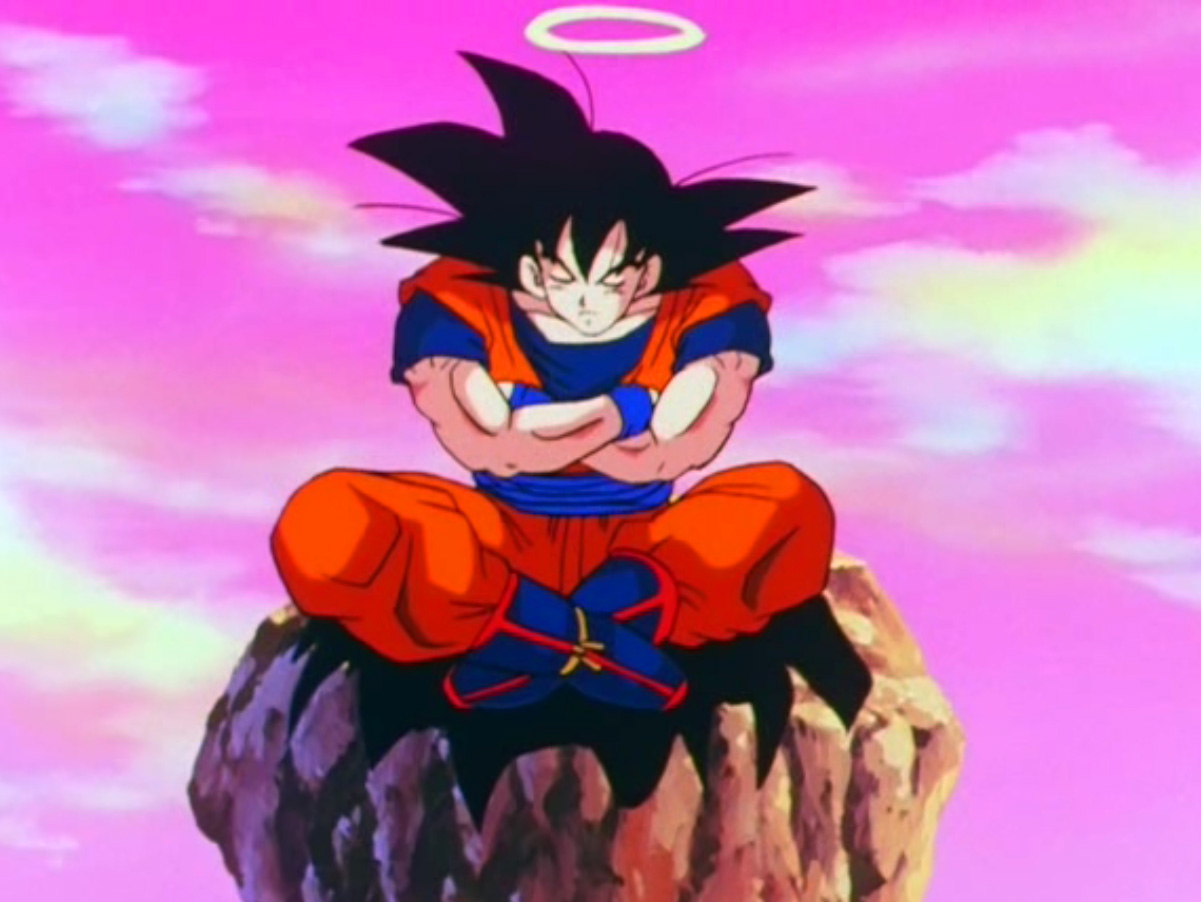 Techniki Vernil'a Goku_meditate_full_lotus_episode_208