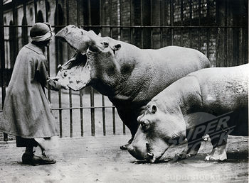 Zoo de Berlin 5737236_orig