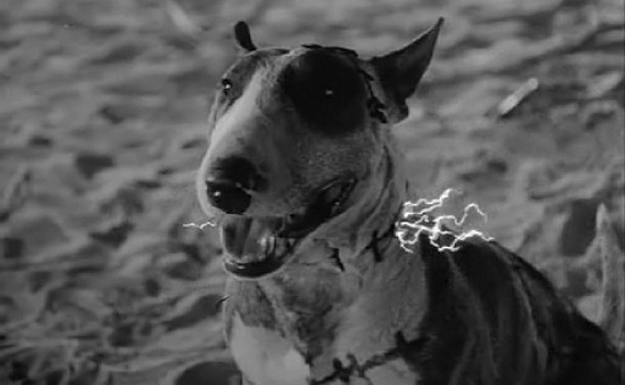 - s ᴄ ʀ ᴇ ᴇ ɴ ɢ ʀ ᴀ ʙ - Frankenweenie-gets-a-voice-cast