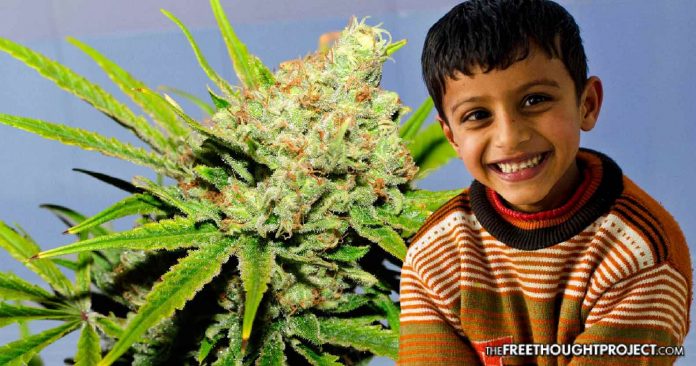 First of Its Kind Study Finds Cannabis May Be a “Miracle” Treatment for Autistic Kids Cannabis-autism-696x366