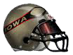 Arena football league saison 2011 Iowa%20copy