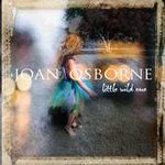 Le TOP 2008 Joanosborne_littlewildone