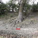 [ALBUM] Shed: Shedding the Past (2008) Shed_sheddingthepast