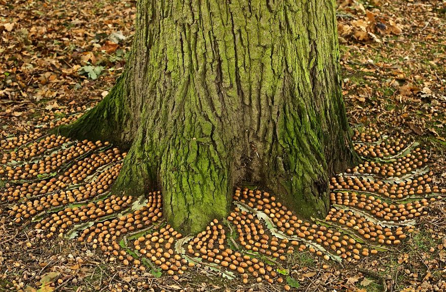 Artist Spends Hours Creating Natural Mandalas, And He’s Hoping You Will Find Them James-Brunt-Nature-Mandalas-8