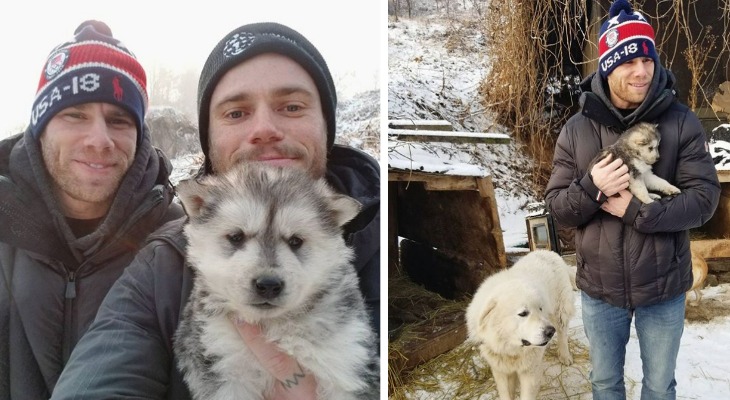 Olympic Skier Gus Kenworthy Rescues 90 Dogs in South Korea Gus-Kenworthy-Rescues-90-Dogs