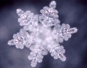 Dr Emoto Dies - The Passing of a Legend Emoto-water-crystal-300x235