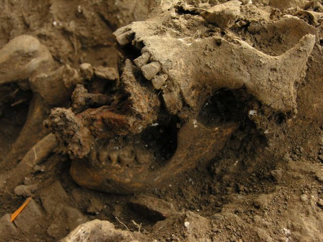 800 Year OldRemains Of A Witch Discovered In A Italian Grave Yard With Seven Nails Driven Through Her Jaw 800-year-old-witch