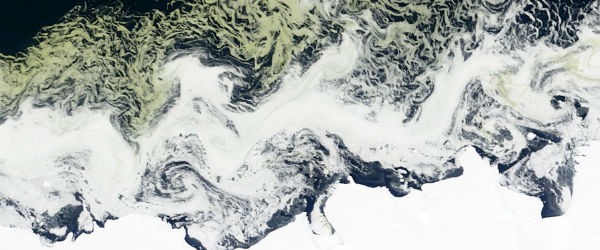 Evento natural extraordinaria vista desde el espacio: recubiertos de algas, los fenómenos de hielo en la Costa de la Princesa Astrid, en la Antártida Untitled2-600x250