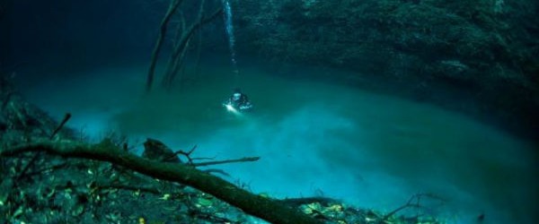 Los científicos descubren ríos bajo el mar Angelita_03-600x250