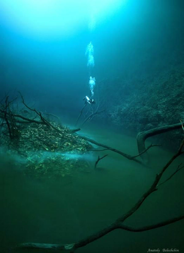 Los científicos descubren ríos bajo el mar Angelita_041