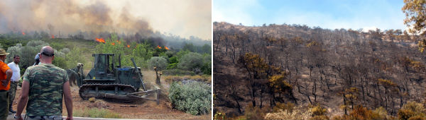 Grandes incendios forestales  devastaron la mitad de la isla de Chios,  en Grecia Chios