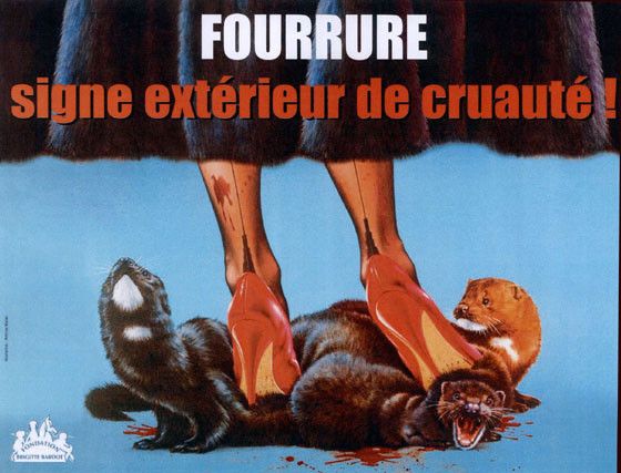 CAMPAGNE ANTI FOURRURE 1f96598c