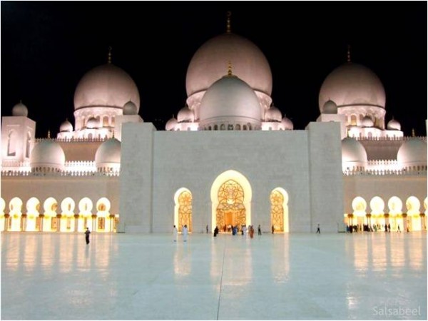 افيدي واستفيدي... - صفحة 37 Sheikh-Zayed-Mosque-600x450