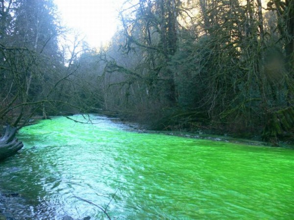 பச்சை நிற நதி படங்கள் இணைப்பு Neon-Green-River-Canada-Photos-02-600x450