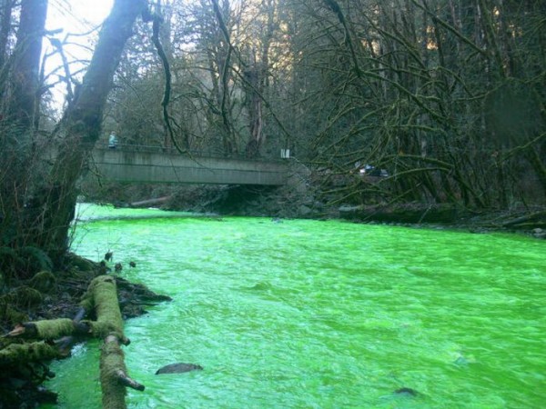 பச்சை நிற நதி படங்கள் இணைப்பு Neon-Green-River-Canada-Photos-06-600x450