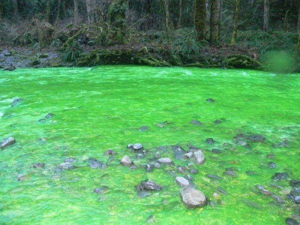 பச்சை நிற நதி படங்கள் இணைப்பு Neon-Green-River-Canada-Photos-07-600x450