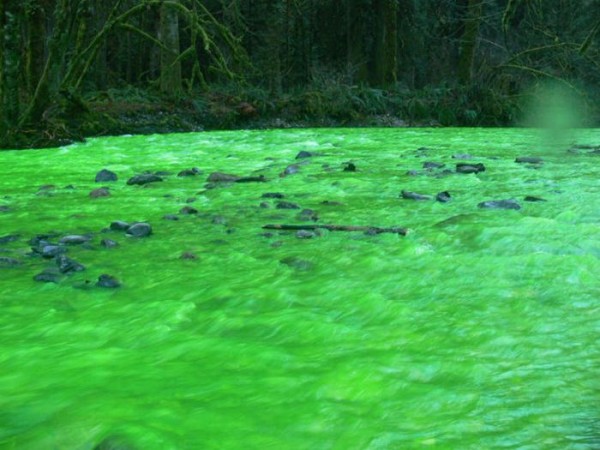 பச்சை நிற நதி படங்கள் இணைப்பு Neon-Green-River-Canada-Photos-08-600x450