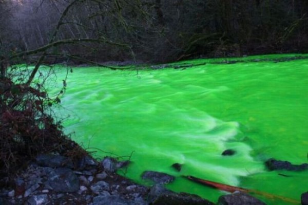 பச்சை நிற நதி படங்கள் இணைப்பு Neon-Green-River-Canada-Photos-10-600x399