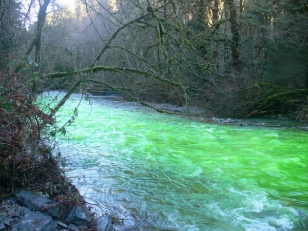 பச்சை நிற நதி படங்கள் இணைப்பு Neon-Green-River-Canada-Photos-12-600x450