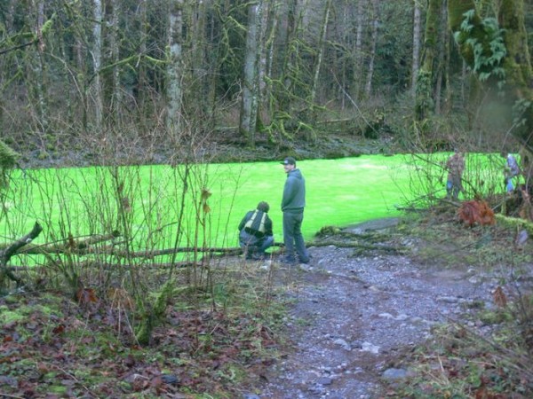 பச்சை நிற நதி படங்கள் இணைப்பு Neon-Green-River-Canada-Photos-16-600x450