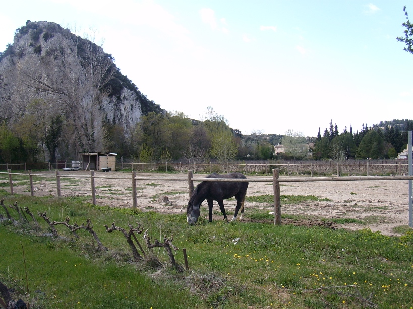 CR Titius Flèche vélocio SA550599-bis